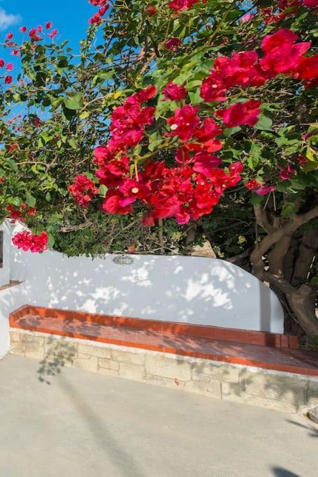 Greek Style Ground Floor Apartment & Pool Ialysos  Luaran gambar