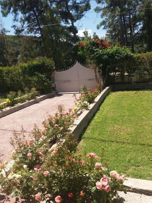 Greek Style Ground Floor Apartment & Pool Ialysos  Luaran gambar