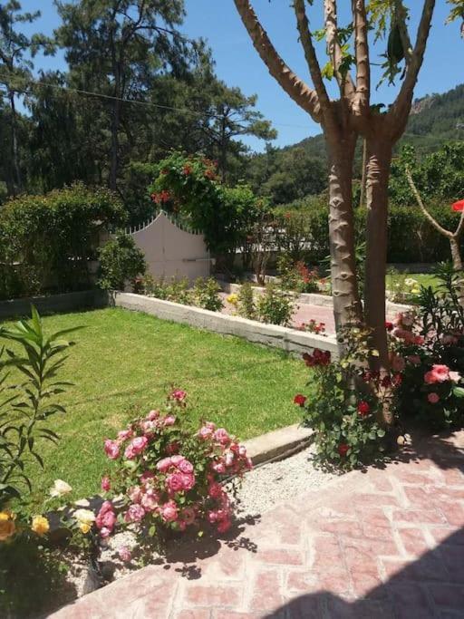 Greek Style Ground Floor Apartment & Pool Ialysos  Luaran gambar