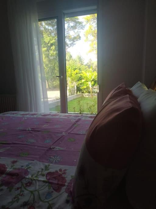 Greek Style Ground Floor Apartment & Pool Ialysos  Luaran gambar