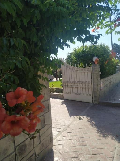 Greek Style Ground Floor Apartment & Pool Ialysos  Luaran gambar